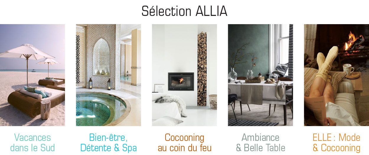 Agitatrice de solutions - Projet Allia Design & Cultures - Branding - Web - Diaporama